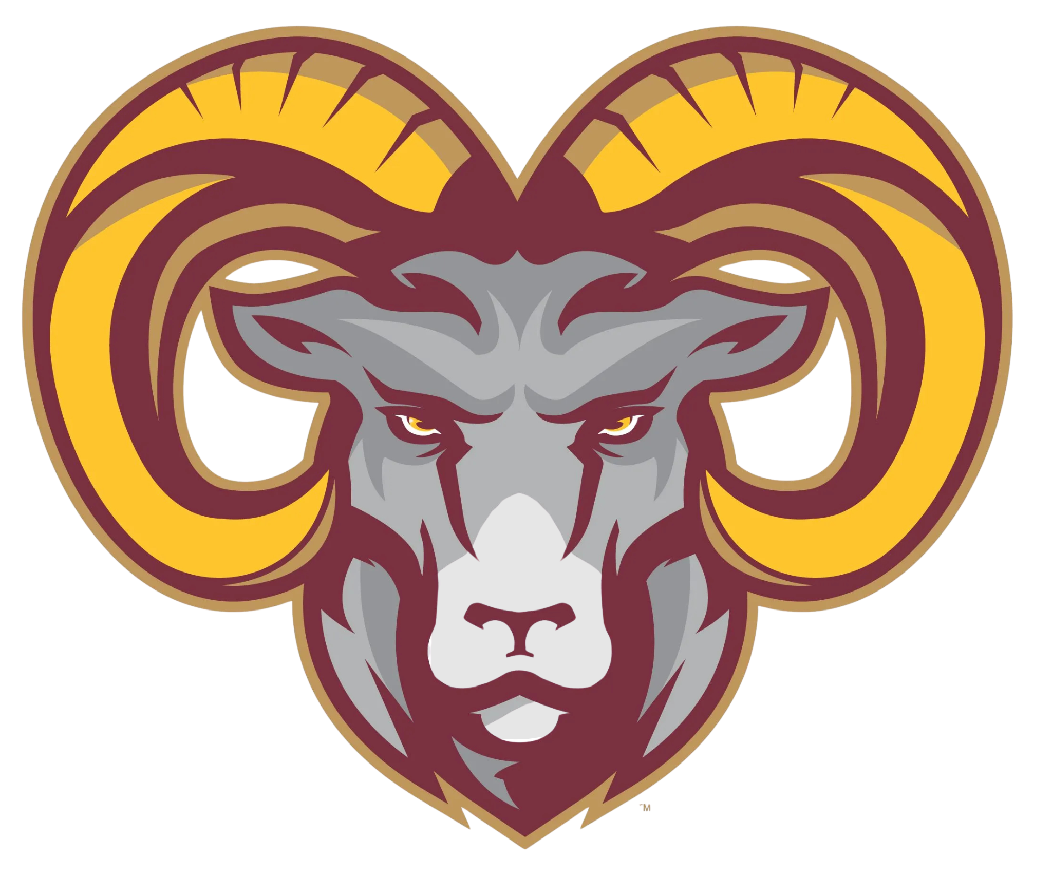 Tyner Middle High Academy